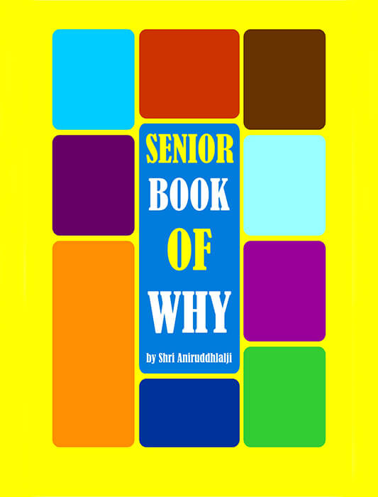Senior-book-of-why-1.jpg